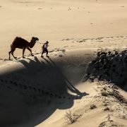 Patara Sand Dunes Safari Tours